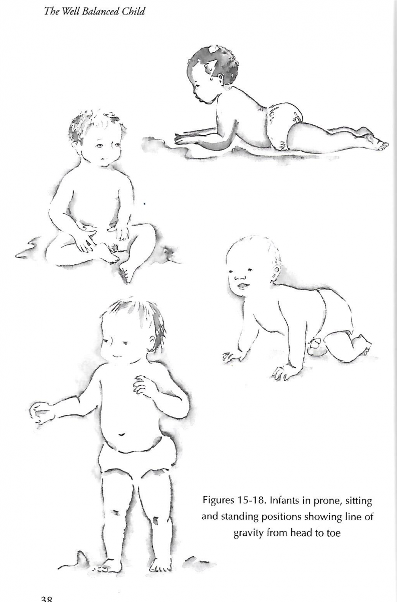 Child Development as Foundation for Learning | Imago Studio
